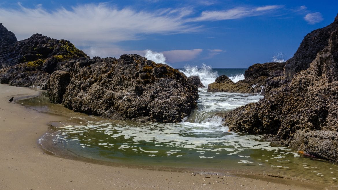 Seal Rock Beach | RV Roadtrip | Travel Destinations