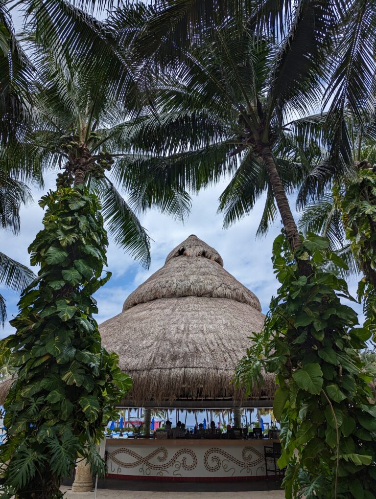 cozumel beach club hut with palm trees