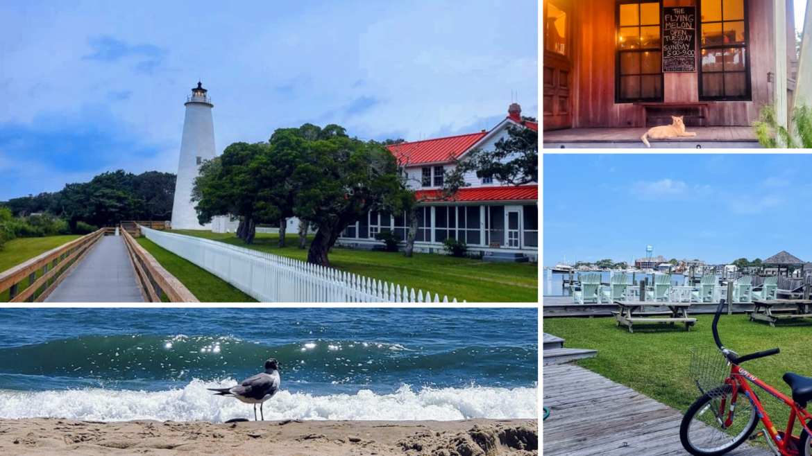 Featured Blog Post image includes four individual images of the Ocracoke Island Lighthouse, a seagul on the beach against the waves, a red bicylcle in front of teal atterandack chairs overlooking the marina, and a cat on the front stairs of a local restaurant,